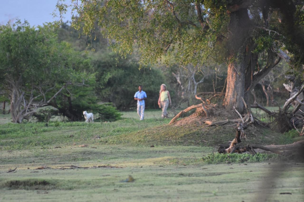 Elephant Lake Yala Tissamaharama Buitenkant foto